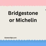Bridgestone or Michelin