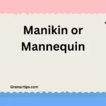 Manikin or Mannequin