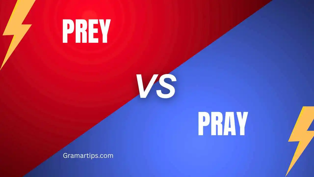 Prey vs Pray